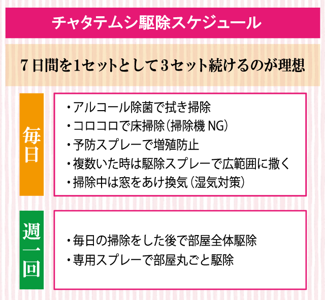チャタテムシ駆除スケジュール