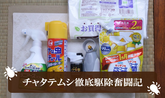 チャタテムシ駆除奮闘記
